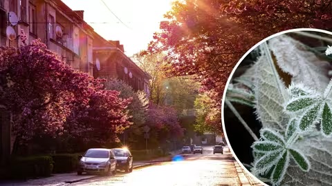 На Закарпатті прогнозують квітневу погоду з контрастами: від заморозків до +18