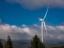 Вітряки на Закарпатті у центрі уваги національних ЗМІ
