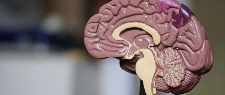 Деменція ропочинається непомітно: 7 симптомів, які не можна ігнорувати