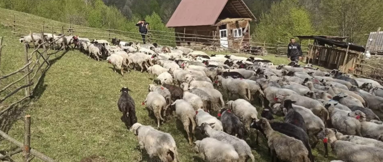 На Рахівщині відбулося традиційне гуцульське свято «Міра»