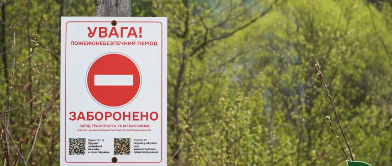 Високий ризик пожеж: у Карпатах посилюють контроль за лісами