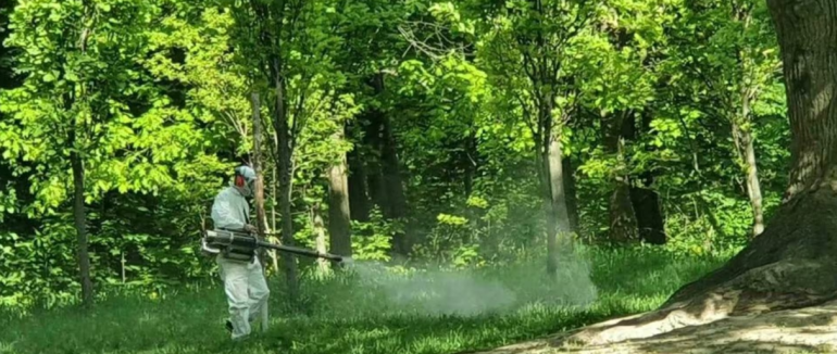 У Виноградові проведуть дезінсекцію скверів і дитячих майданчиків