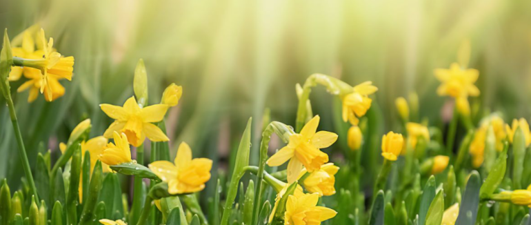 Гороскоп на 4 квітня для всіх знаків зодіаку: день звільнення від постійного контролю