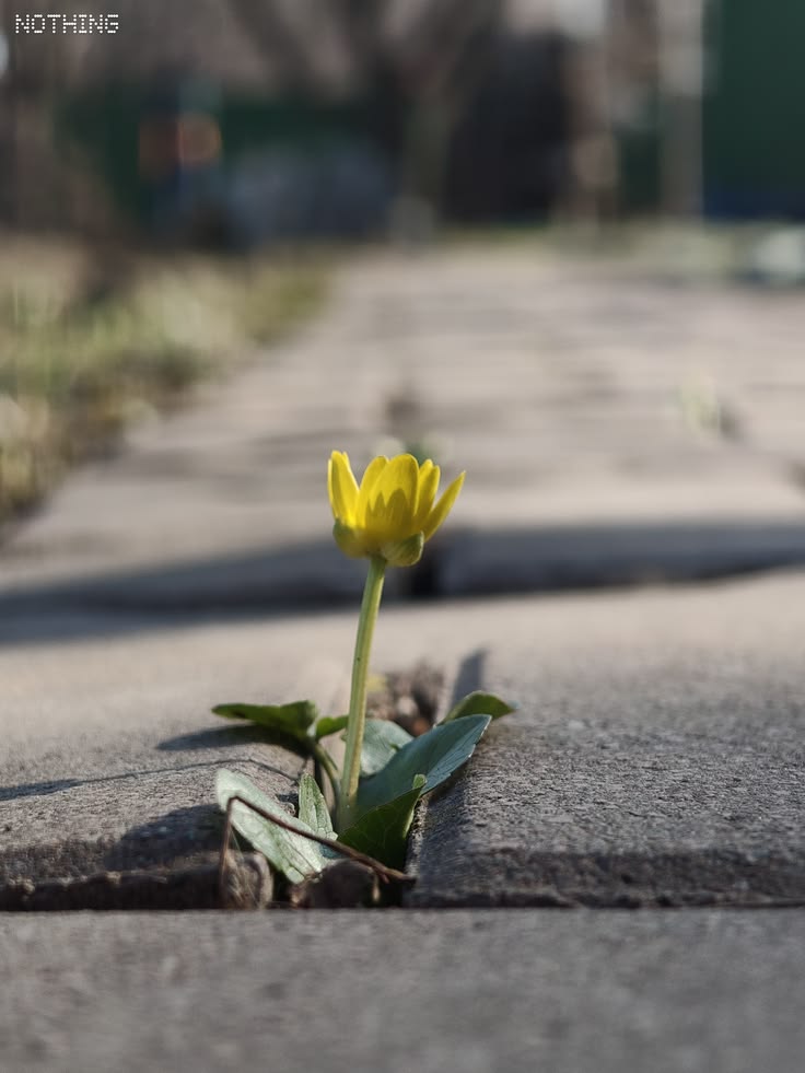 Небезпечний шторм та заморозки: українців попереджають про різке погіршення погоди