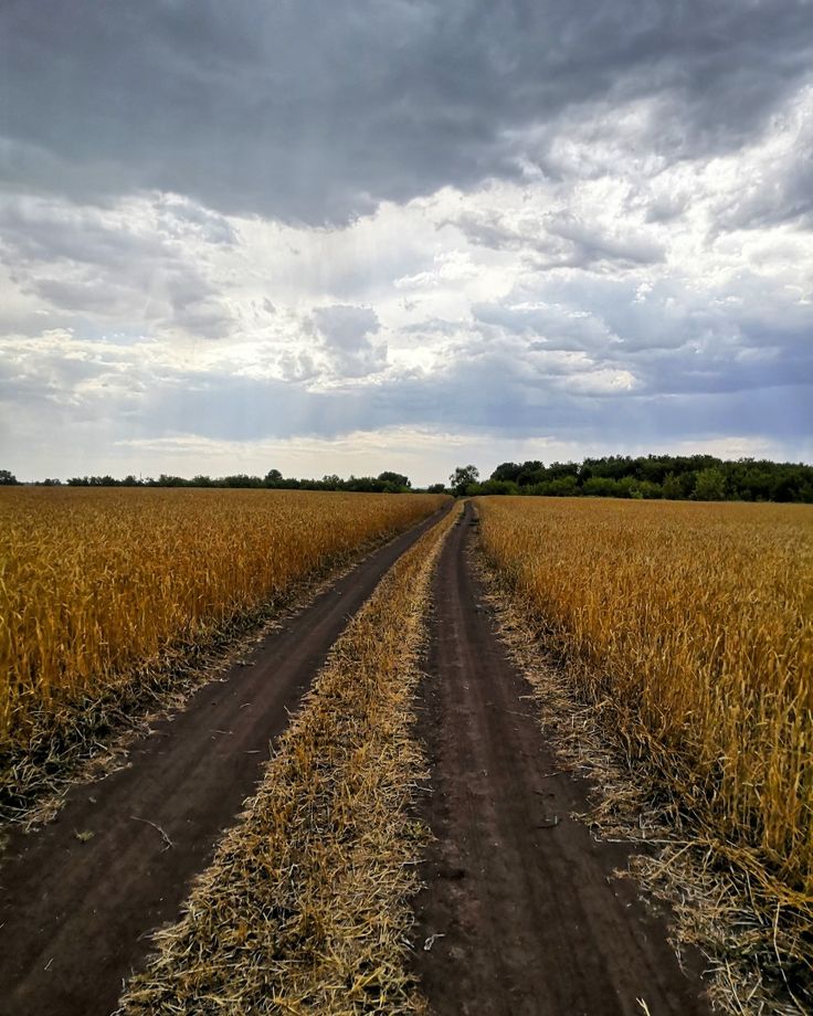 Повітряна тривога на Закарпатті – зафіксовано ціль над Рахівщиною