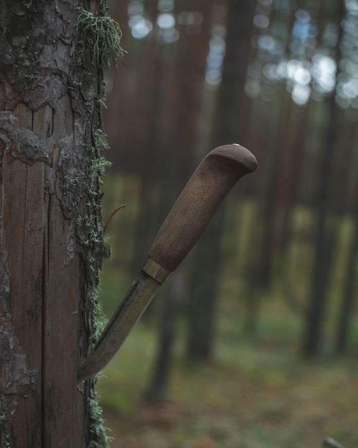 Напад на представників ТЦК на Буковині: військовозобов’язаний поранив ножем працівників і намагався втекти