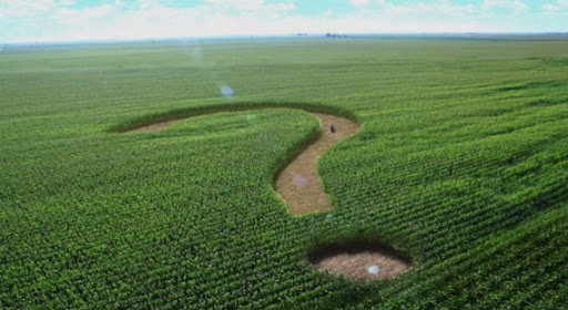 Спадкуєте земельну ділянку? Юристи СТОВ «Агро-Лучки» допоможуть розібратися