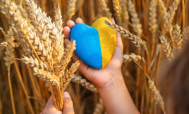 Ветерани – не символ. Це люди, від яких залежить майбутнє країни
