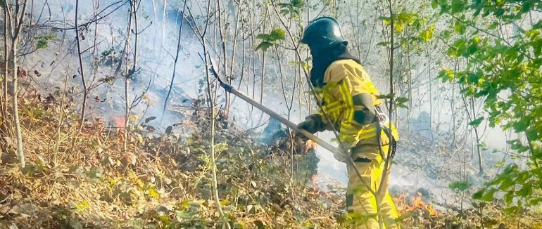 На Закарпатті горить ліс: у Воловецькій громаді ліквідовують масштабну пожежу