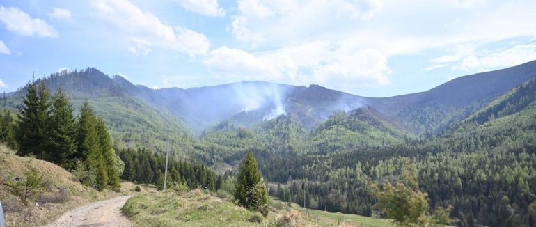 Пожежу у лісовому масиві на Мукачівщині локалізовано