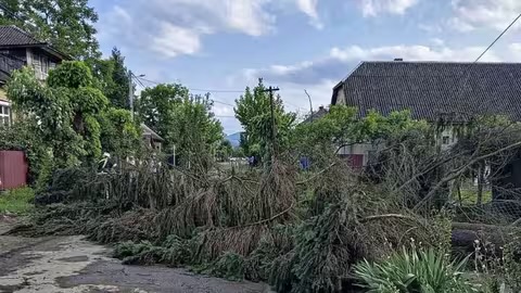 Через негоду 6 населених пунктів на Закарпатті залишилися без електроенергії