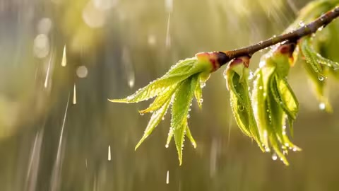 Закарпаття чекає мінливий тиждень: від +28° до дощів і прохолоди