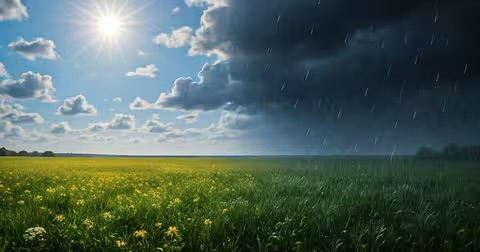 Дощі, вітер і до +24°C: якою буде погода на Закарпатті в останні вихідні травня