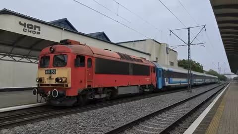 На кордоні з Угорщиною затримали грабіжника, якого розшукувала Нацполіція