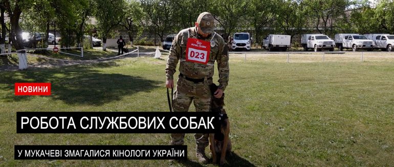 У Мукачеві відбулися змагання серед кінологічних підрозділів силових структур України (ВІДЕО)