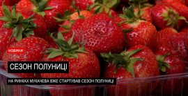 Смак літа: полуниця вже з’явилася на ринках Мукачева (ВІДЕО)