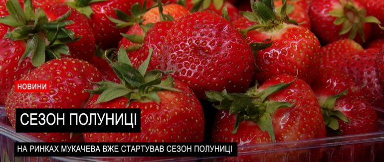 Смак літа: полуниця вже з’явилася на ринках Мукачева (ВІДЕО)