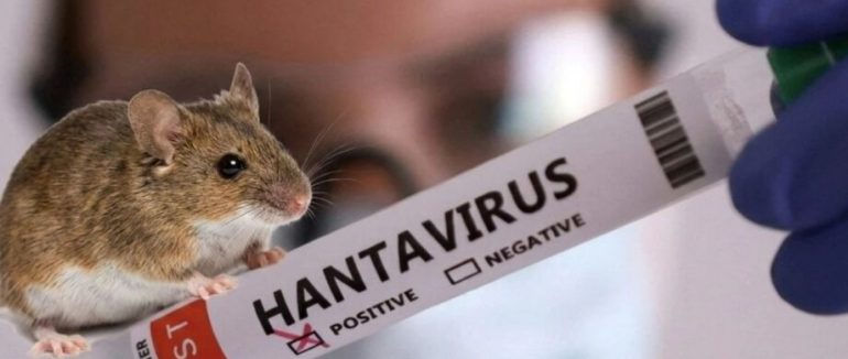 Чи буде епідемія хантавірусу: у Франції повідомили нові дані щодо контактних осіб