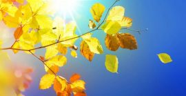 До +38°C: Україну накрила аномальна спека
