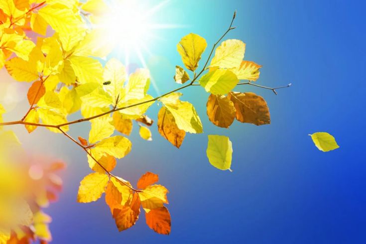 До +38°C: Україну накрила аномальна спека