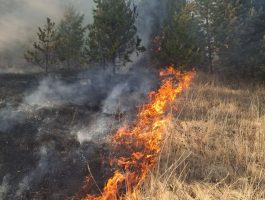 На Закарпатті під час спалювання сухостою загинула 75-річна жінка