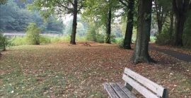 Вандалізм на набережній: в Ужгороді невідомі викинули лавку у воду