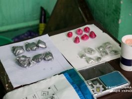 На Закарпатті засудили організатора нарколабораторії: 11 років ув’язнення та конфіскація майна