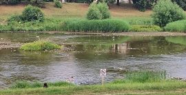 Визначили місця для заборони купання в Ужгороді