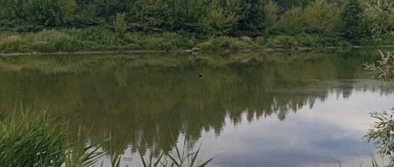На Берегівщині течія понесла чотирьох дітей: одного хлопчика досі шукають