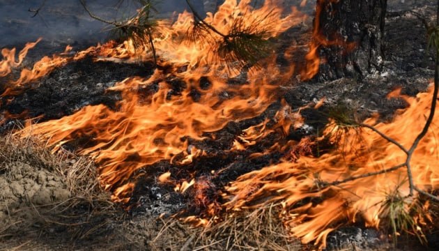 На Закарпатті оголосили високу та надзвичайну пожежну небезпеку: жителів закликають бути обережними