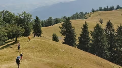 Похід завершився трагедією: у Карпатах під час туристичного маршруту померла жінка
