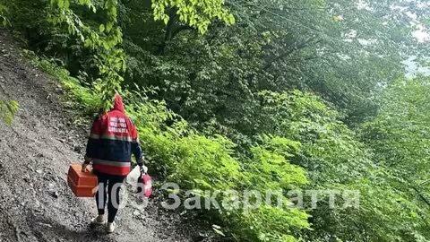 У горах на Тячівщині під час збирання ягід помер 53-річний чоловік