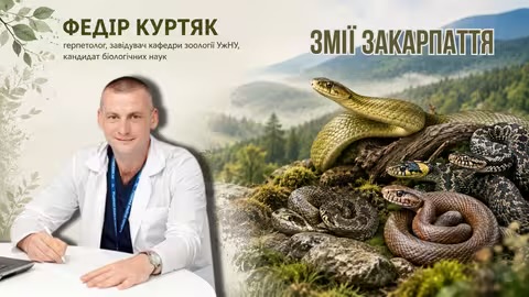 На Закарпатті живе найбільша змія України: вчений УжНУ пояснив, які плазуни водяться в області та як розпізнати гадюку