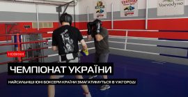 Чемпіонат України з боксу серед юніорів стартує з 17 липня в Ужгороді (ВІДЕО)