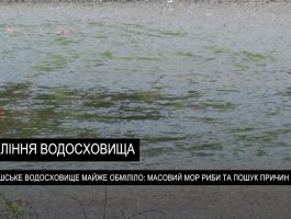 Водосховище у Бобовищі майже висохло: місцеві б’ють на сполох (ВІДЕО)