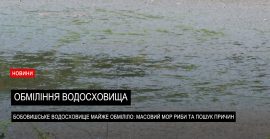 Водосховище у Бобовищі майже висохло: місцеві б’ють на сполох (ВІДЕО)