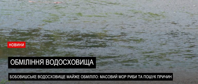 Водосховище у Бобовищі майже висохло: місцеві б’ють на сполох (ВІДЕО)