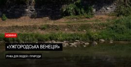 Ужгородська “Венеція” Річка для людей і природи (ВІДЕО)