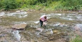На Закарпатті дослідили гірські річки для відновлення популяцій лососевих риб