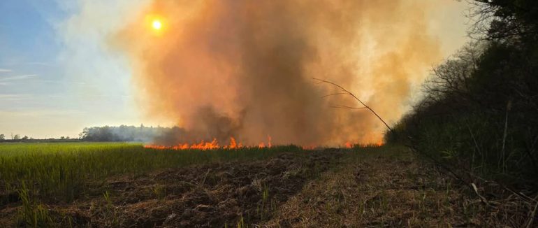 У Виноградові вогнеборці ліквідували масштабну пожежу сухостою на площі 2 гектари