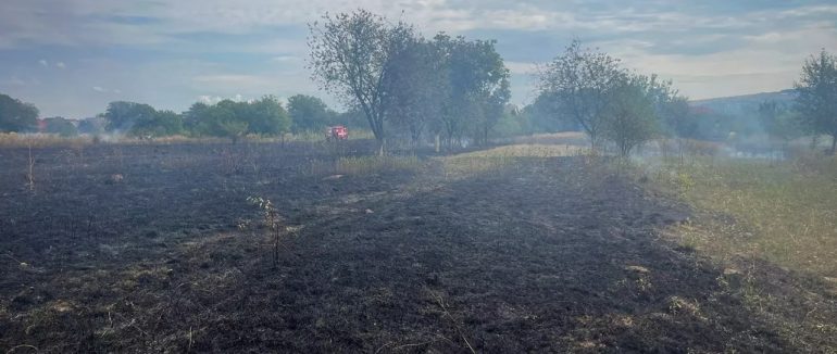 На Закарпатті з початку року ліквідували майже 1800 пожеж в екосистемах