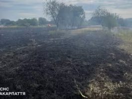 На Закарпатті оголосили надзвичайний рівень пожежної небезпеки