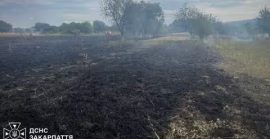 На Закарпатті оголосили надзвичайний рівень пожежної небезпеки