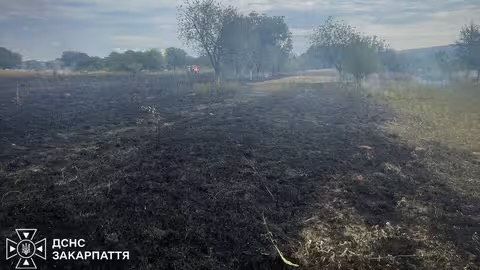 На Закарпатті оголосили надзвичайний рівень пожежної небезпеки