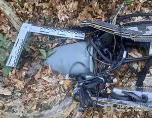 На Хустщині у лісосмузі виявили та знешкодили бойову частину російського дрона