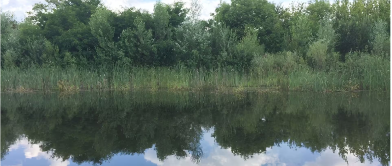 Стрибнув у воду й не винирнув: на Закарпатті потонув 21-річний юнак