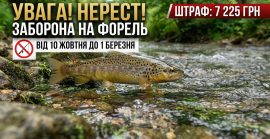 На Закарпатті вводять заборону на вилов струмкової форелі