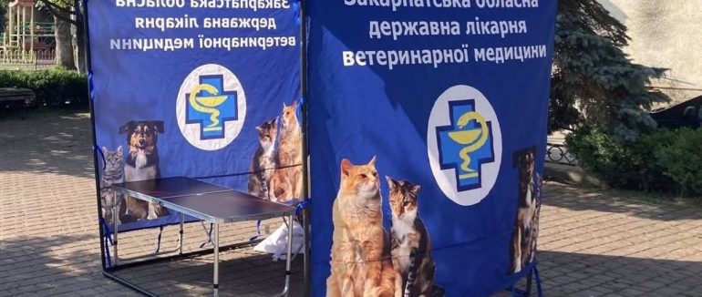 У Мукачеві розпочинається безкоштовна вакцинація котів та собак проти сказу: графік та локація