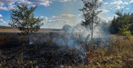 Вогняна осінь на Закарпатті: за добу вигоріло понад 3 гектари сухостою