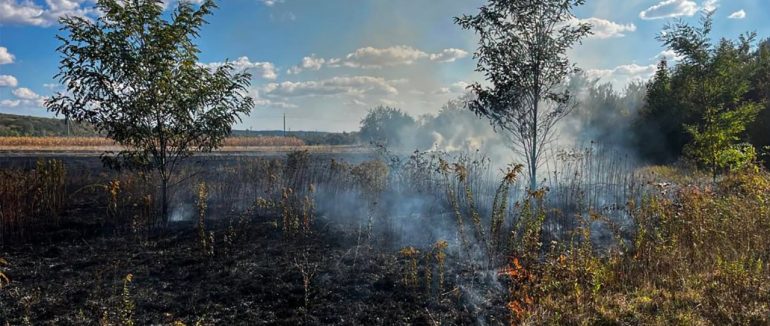 Вогняна осінь на Закарпатті: за добу вигоріло понад 3 гектари сухостою